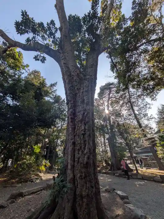 世田谷八幡宮(東京都)