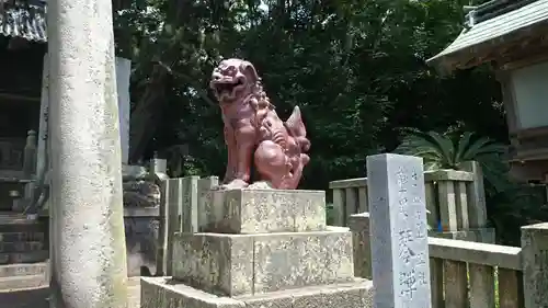 琴彈八幡宮の狛犬