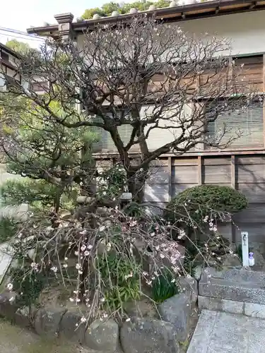 東漸寺(神奈川県)