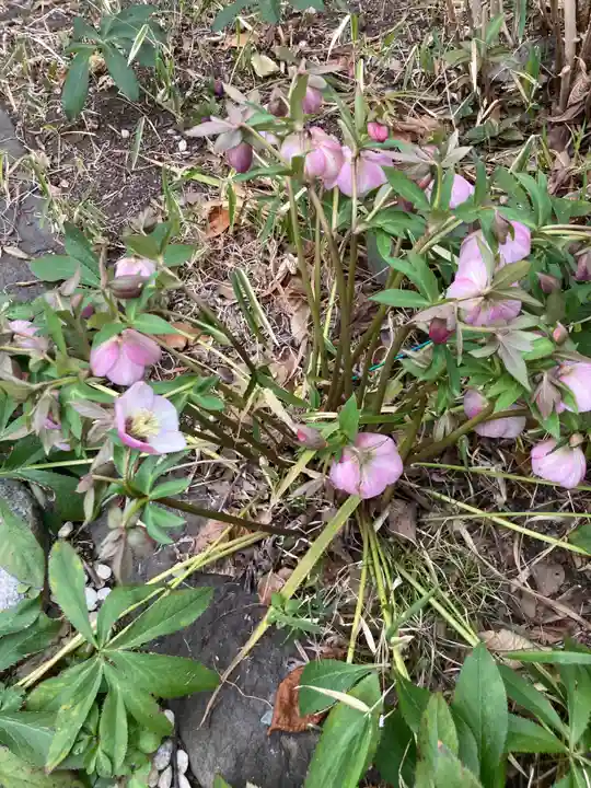 教善寺(神奈川県)