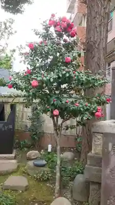小野照崎神社(東京都)
