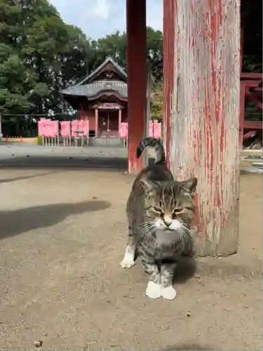 万徳寺(群馬県)