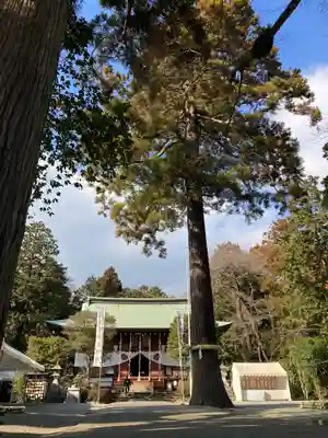 比々多神社(神奈川県)