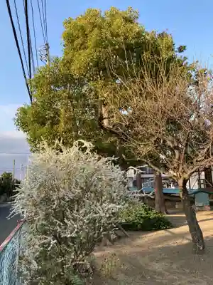 八幡神社の自然