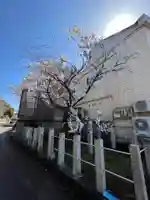 手力雄神社(岐阜県)