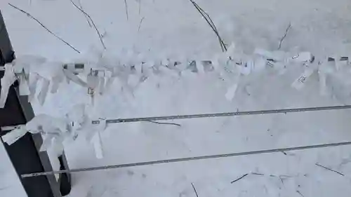 眞久寺のおみくじ