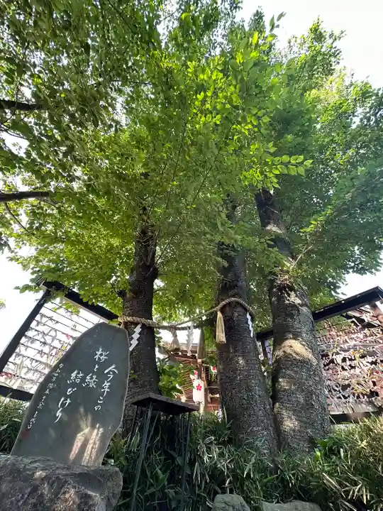 櫻木神社(千葉県)