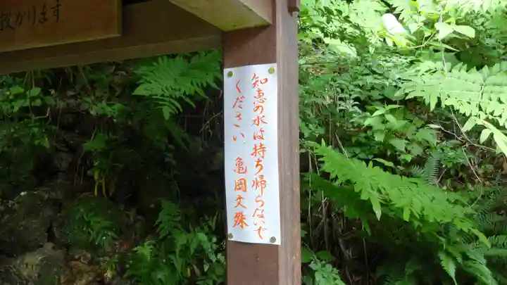 大聖寺(亀岡文殊)のその他建物