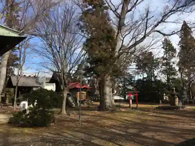 皇足穂吉田大御神宮の庭園