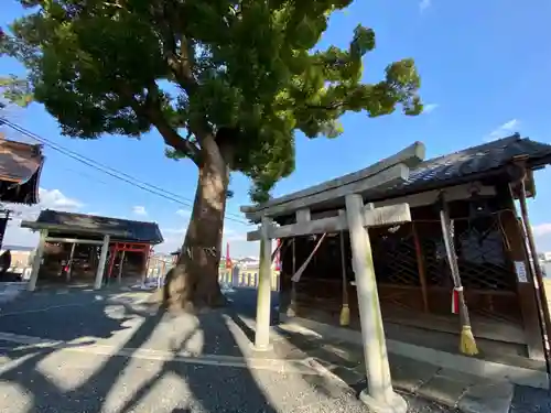 玉田神社の鳥居