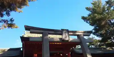 住吉大社(大阪府)