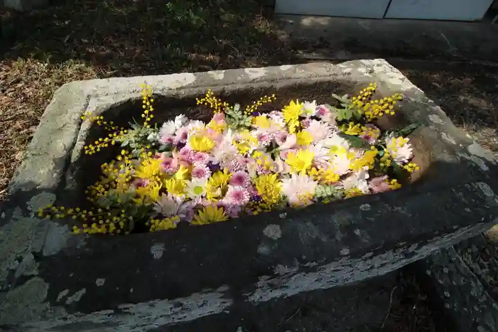 八耳堂(埼玉県)