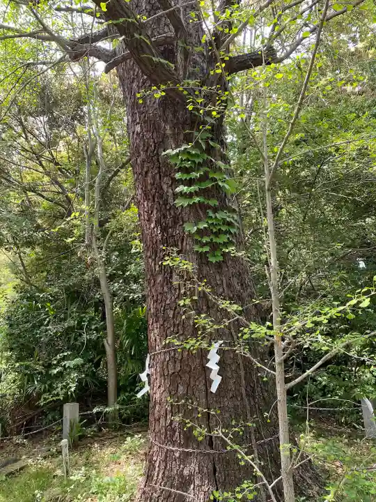 忍 諏訪神社・東照宮 (埼玉県)