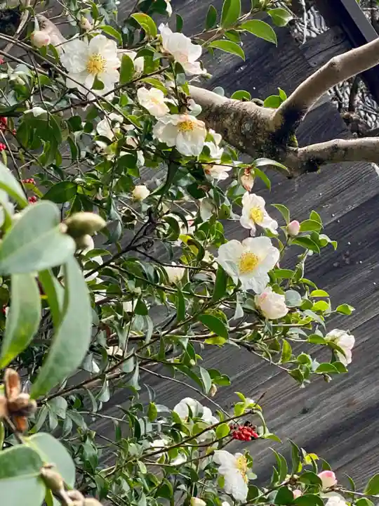 即宗院(京都府)