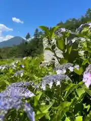 国宝 大法寺の自然