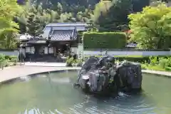 久安寺の庭園