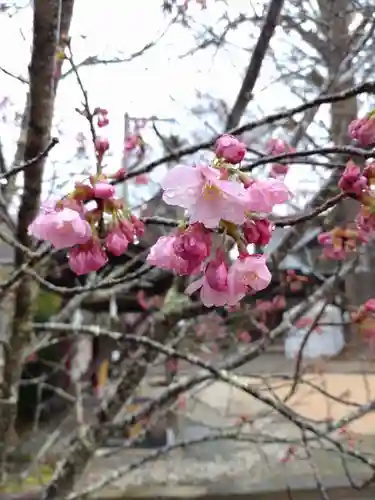 賀羅加波神社の自然
