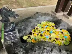 月寒神社の手水