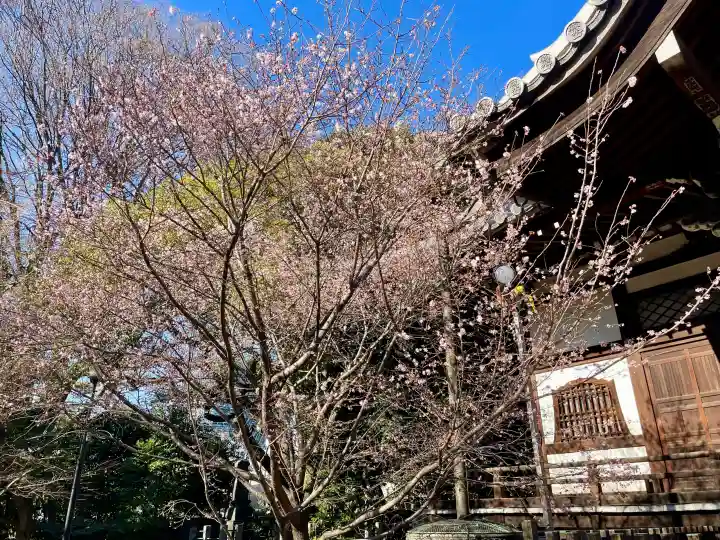 法明寺の{uncategorized: "未分類", other: "その他", undefined: "問題あり", building: "その他建物", grave: "お墓", sacred_gate: "鳥居", guardian: "狛犬", statue: "像", buddha: "仏像", history: "歴史", nature: "自然", garden: "庭園", animal: "動物", pagoda: "塔", temizu: "手水舎", mountain_gate: "山門・神門", sanctuary: "本殿・本堂", subordinate: "末社・摂社", art: "芸術", scenery: "景色", jizo: "地蔵", ema: "絵馬", goshuin: "御朱印", omikuji: "おみくじ", items: "授与品その他", amulet: "お守り", goshuincho: "御朱印帳", eats: "食事", festival: "お祭り", votive_dance: "神楽", shichigosan: "七五三参", wedding: "結婚式", experience: "体験その他", initially: "初詣", around: "周辺", anti_infection: "感染症対策"}
