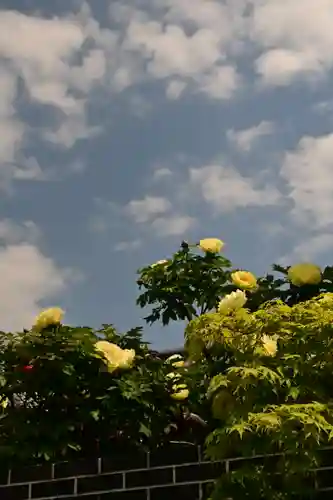 少林寺(埼玉県)