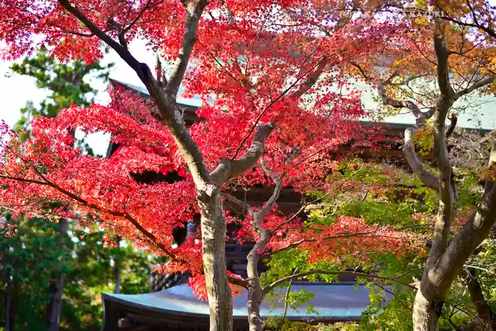 円覚寺(神奈川県)