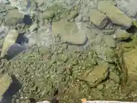 伊勢神宮内宮(皇大神宮)(三重県)