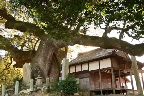 天満神社(愛媛県)