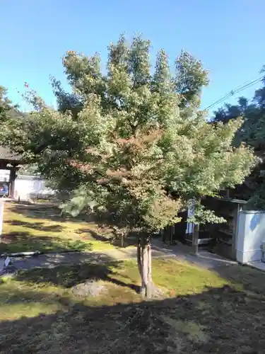 長壽寺（長寿寺）のその他建物