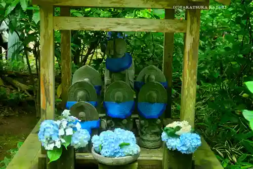 明月院(神奈川県)