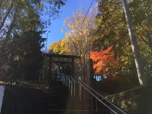 上野幌神社(北海道)