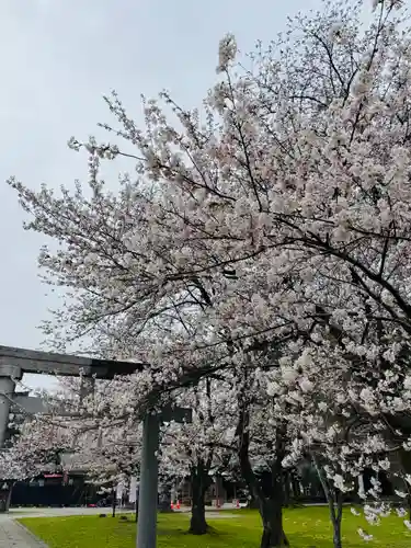 守りの神　藤基神社の鳥居