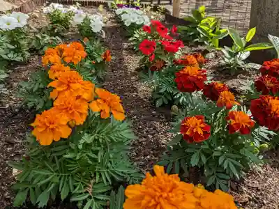 二柱神社(宮城県)
