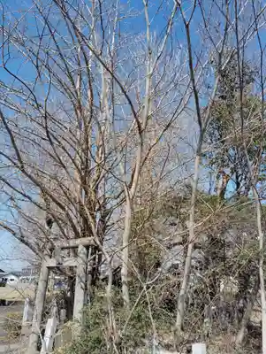 御嶽神社(群馬県)