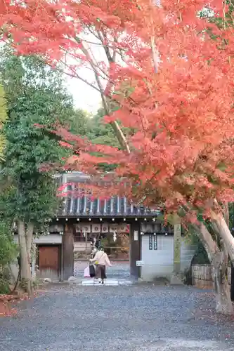 水無瀬神宮の山門・神門