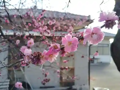 三俣神社の自然