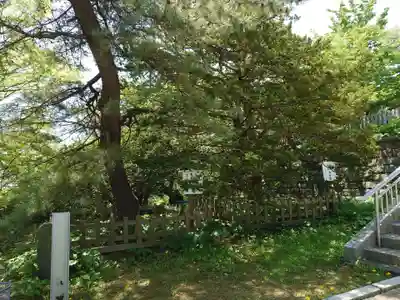 室蘭八幡宮(北海道)