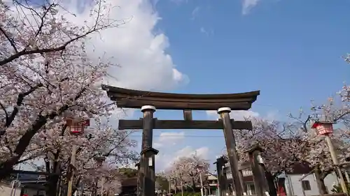 尾張大國霊神社（国府宮）の鳥居