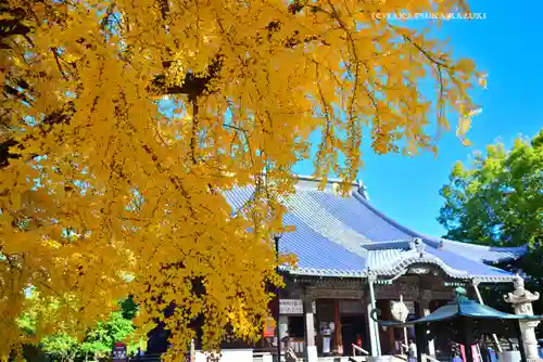 鑁阿寺(栃木県)