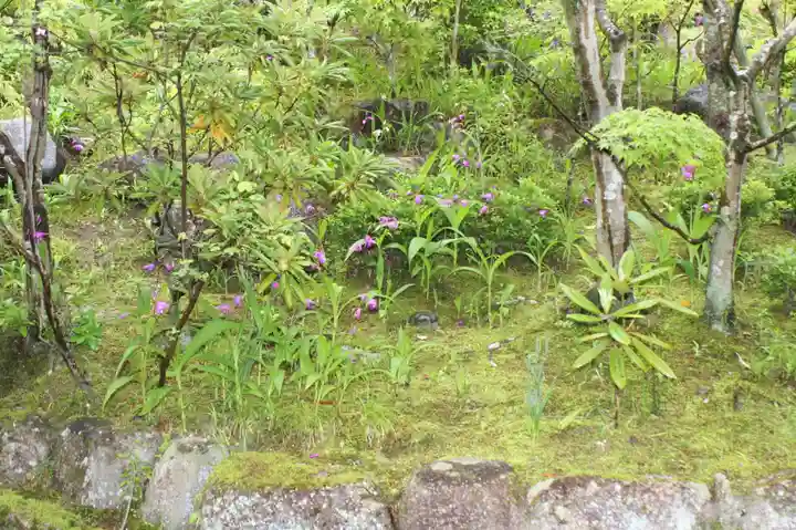 西應寺(滋賀県)