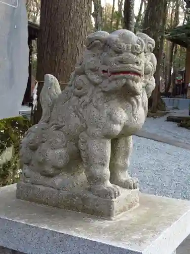 新屋山神社の狛犬