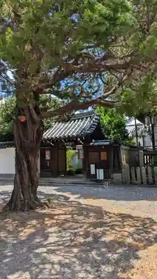 尊陽院(京都府)