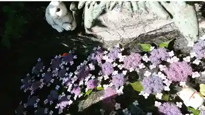 三輪神社の手水舎
