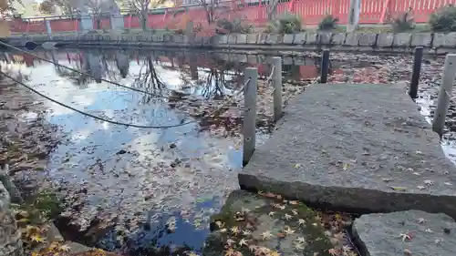 稗田野神社(薭田野神社)(京都府)