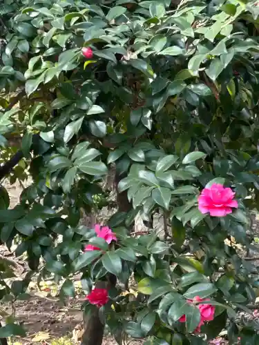 中目黒八幡神社(東京都)