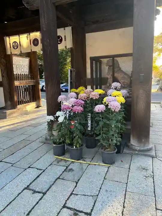 日牟禮八幡宮(滋賀県)