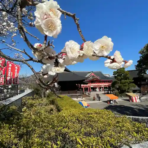 高幡不動尊　金剛寺(東京都)