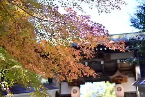 目の霊山　油山寺(静岡県)