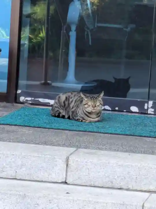 宗善寺(東京都)
