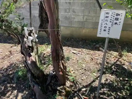 三ツ石神社(岩手県)
