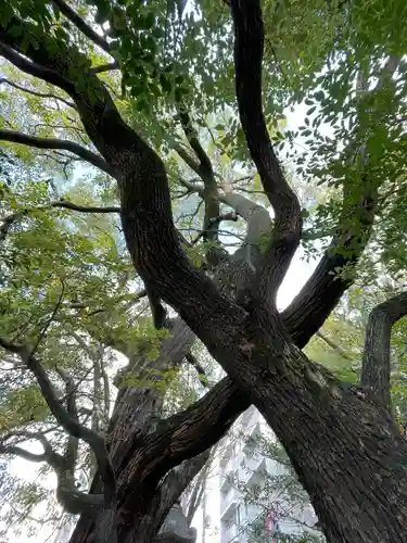 若一神社(京都府)